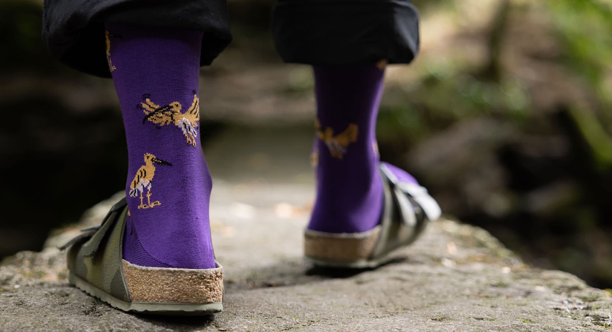 Curlew Socks / Moorland Green