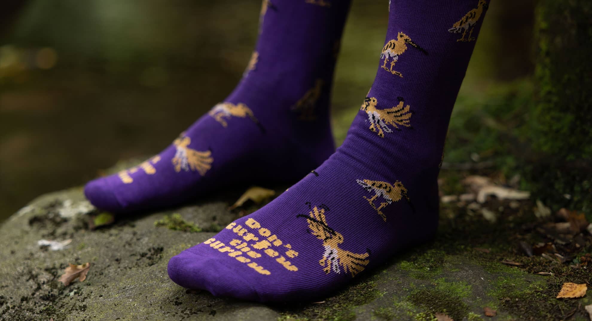 Curlew Socks / Moorland Green