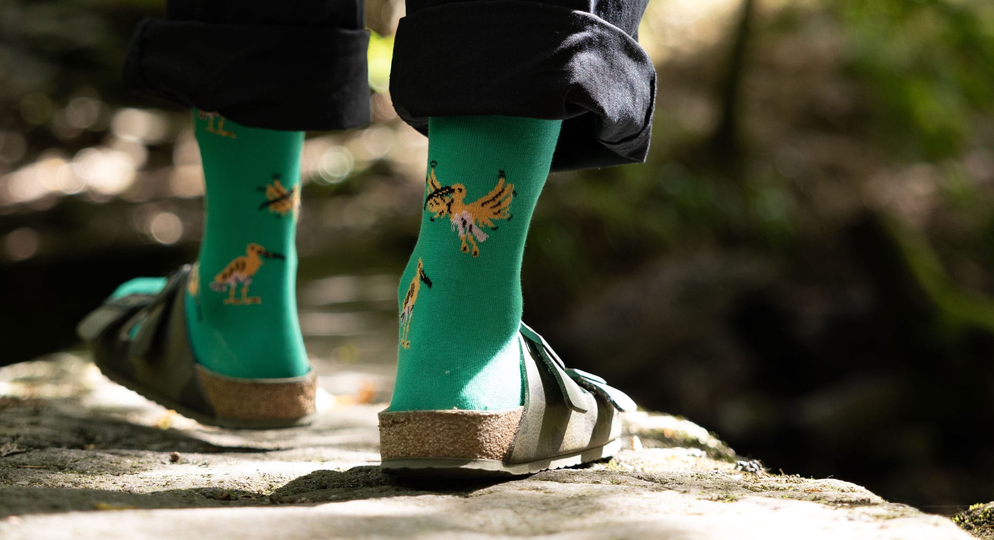 Curlew Socks / Moorland Green