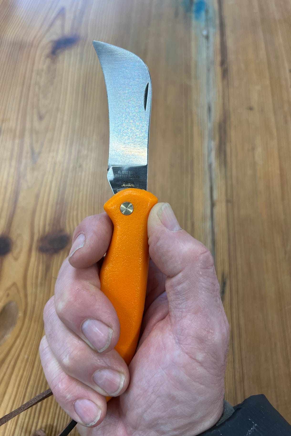 Foraging Knife