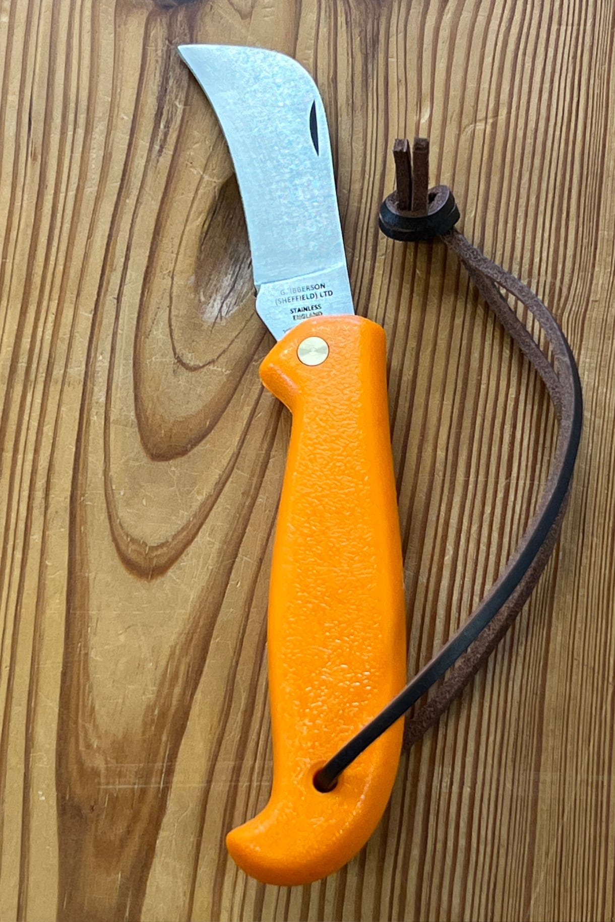 Foraging Knife