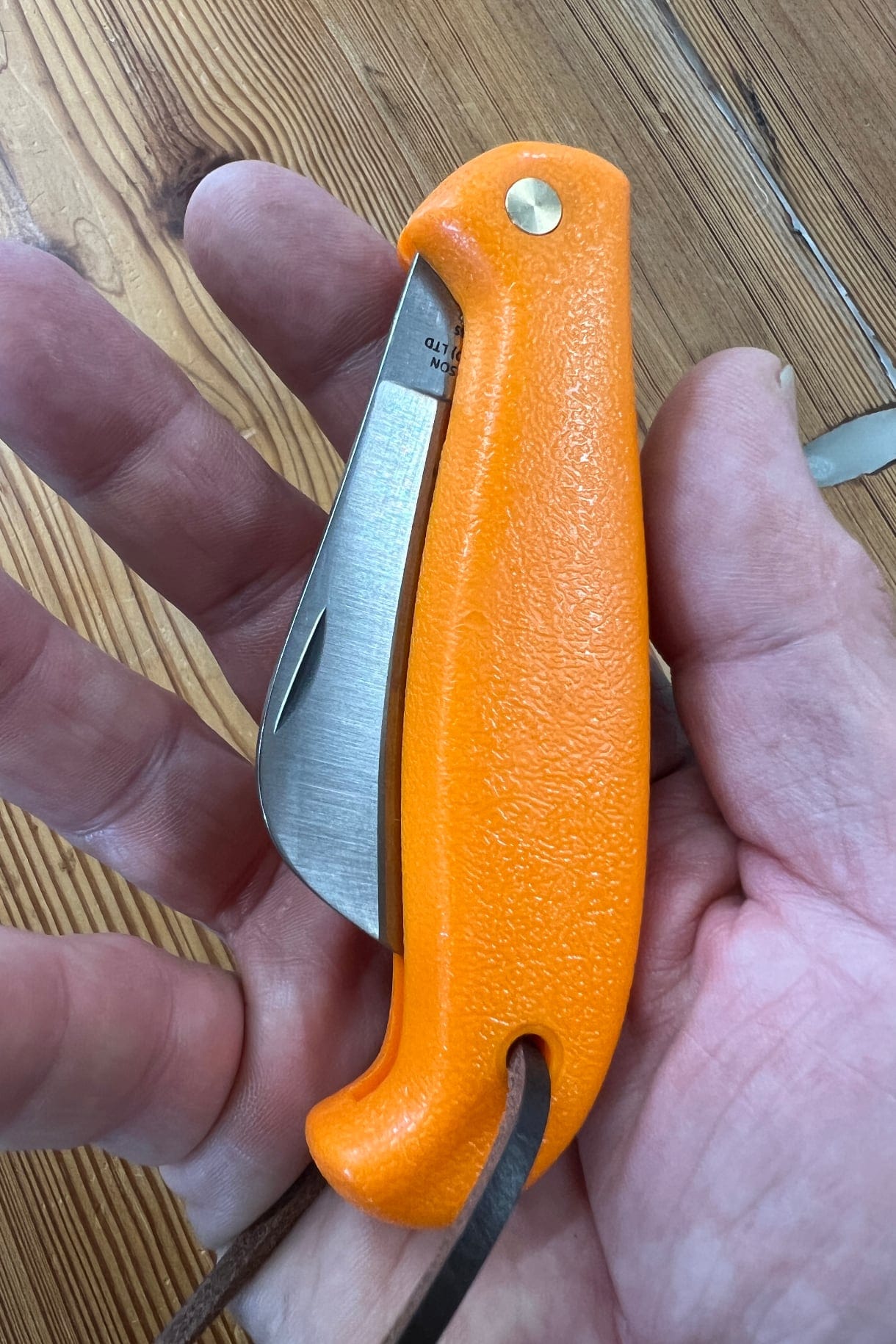Foraging Knife
