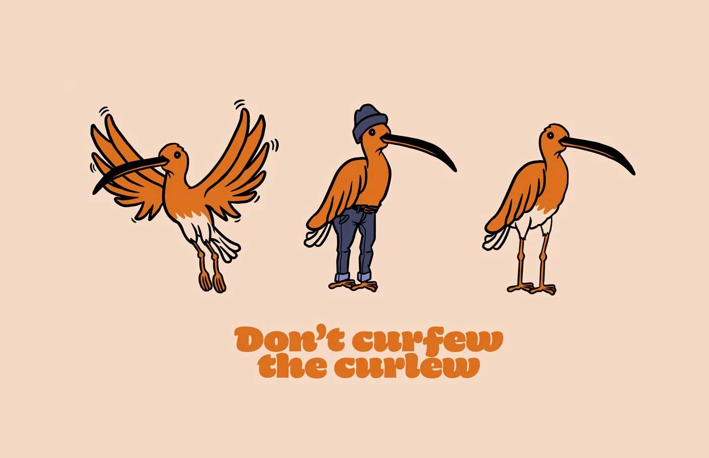 Don’t Curfew the Curlew